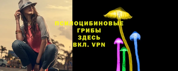 прущая мука Новозыбков