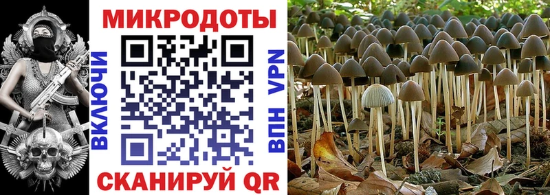 Псилоцибиновые грибы прущие грибы  kraken ТОР  Байкальск 